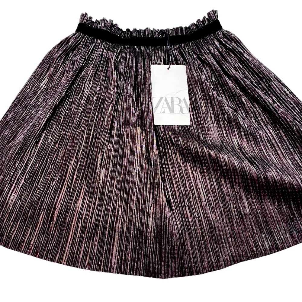 NWT Zara skirt